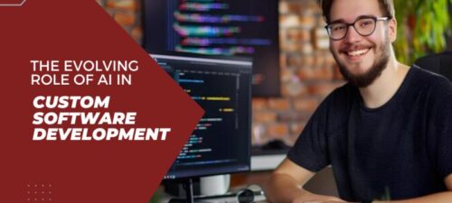 custom software development company in India