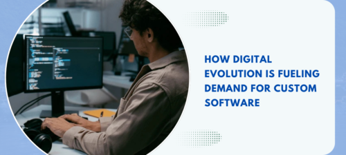 Custom Software Development Services in India