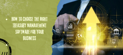 Treasury Management Software